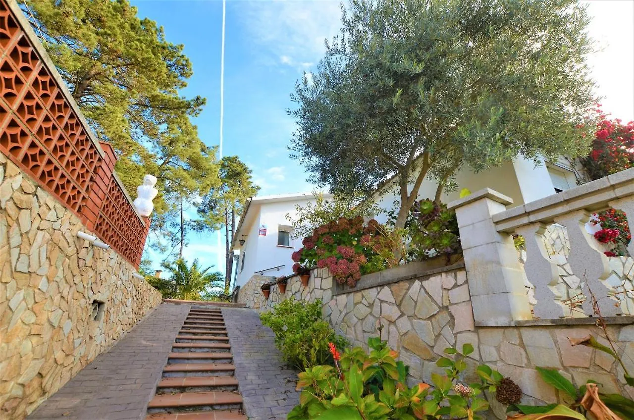 Villa Michelle Lloret de Mar Spain